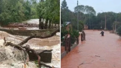 Reprodução/Redes Sociais