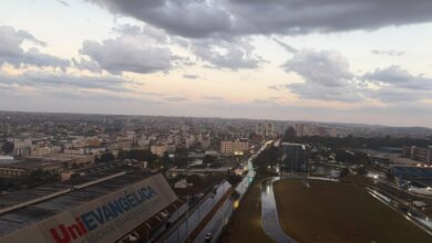 (Foto: Reprodução)