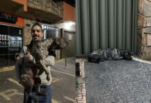 (Foto: Imagens cedidas ao Portal 6)