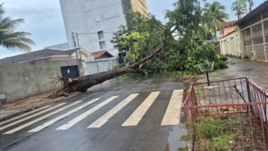 (Foto: Reprodução)